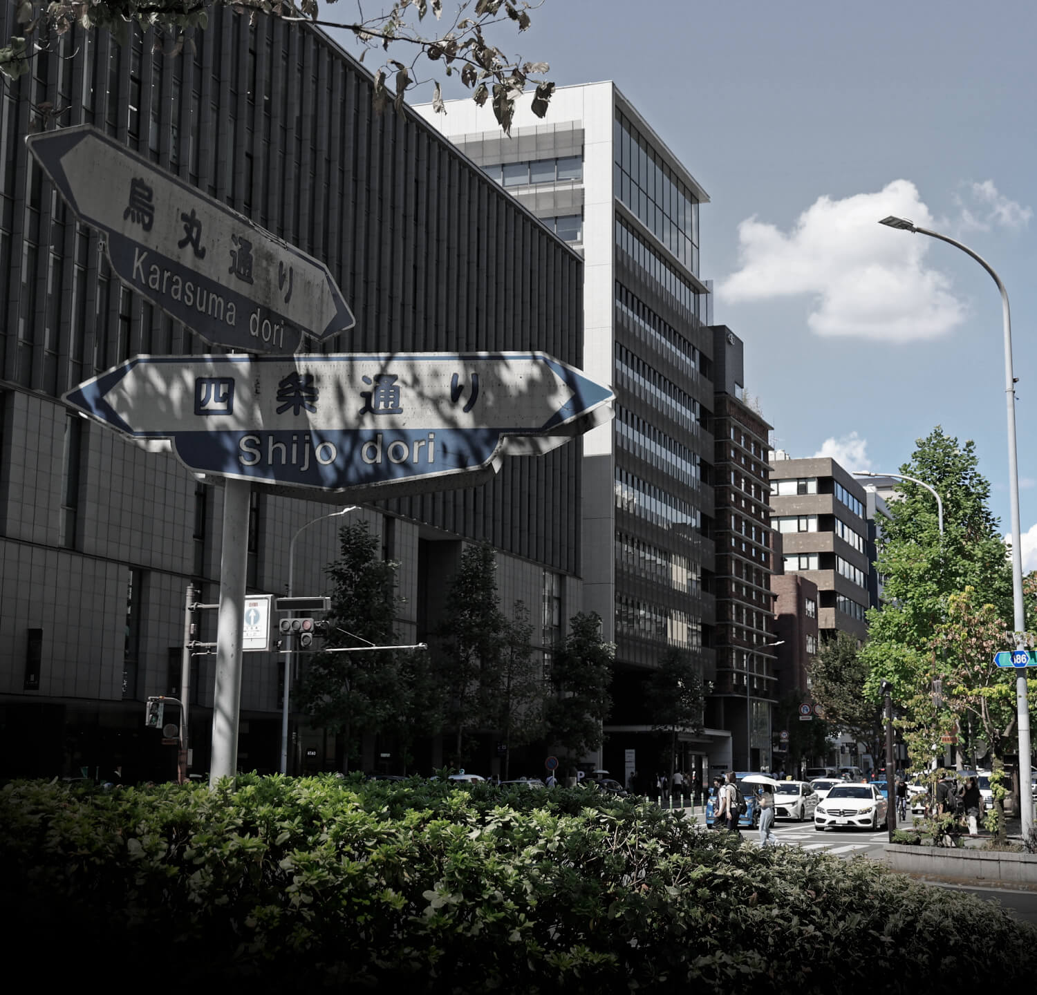 VIEQU HOUSE KYOTO STYLE