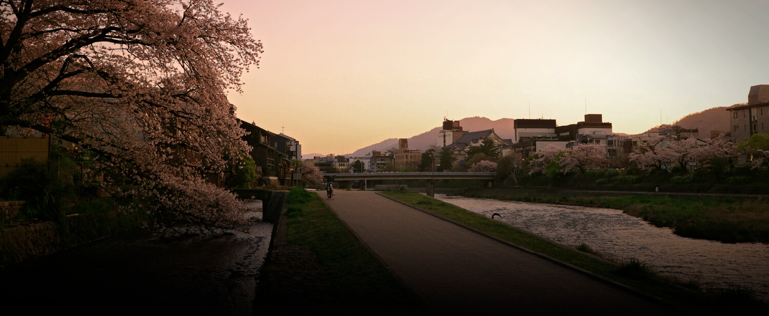 VIEQU HOUSE KYOTO STYLE